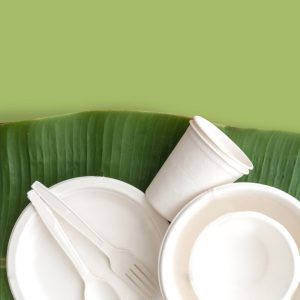 10″ – 3 Compartment Plate