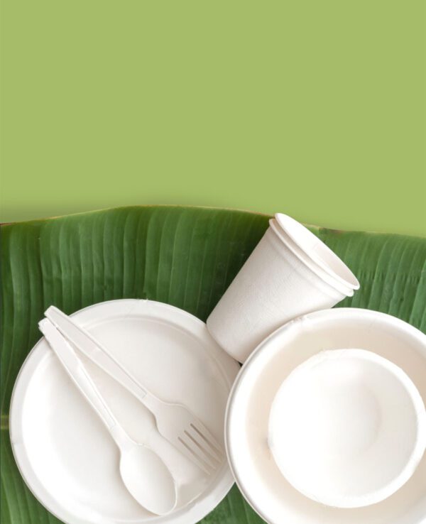 10″ – 3 Compartment Plate