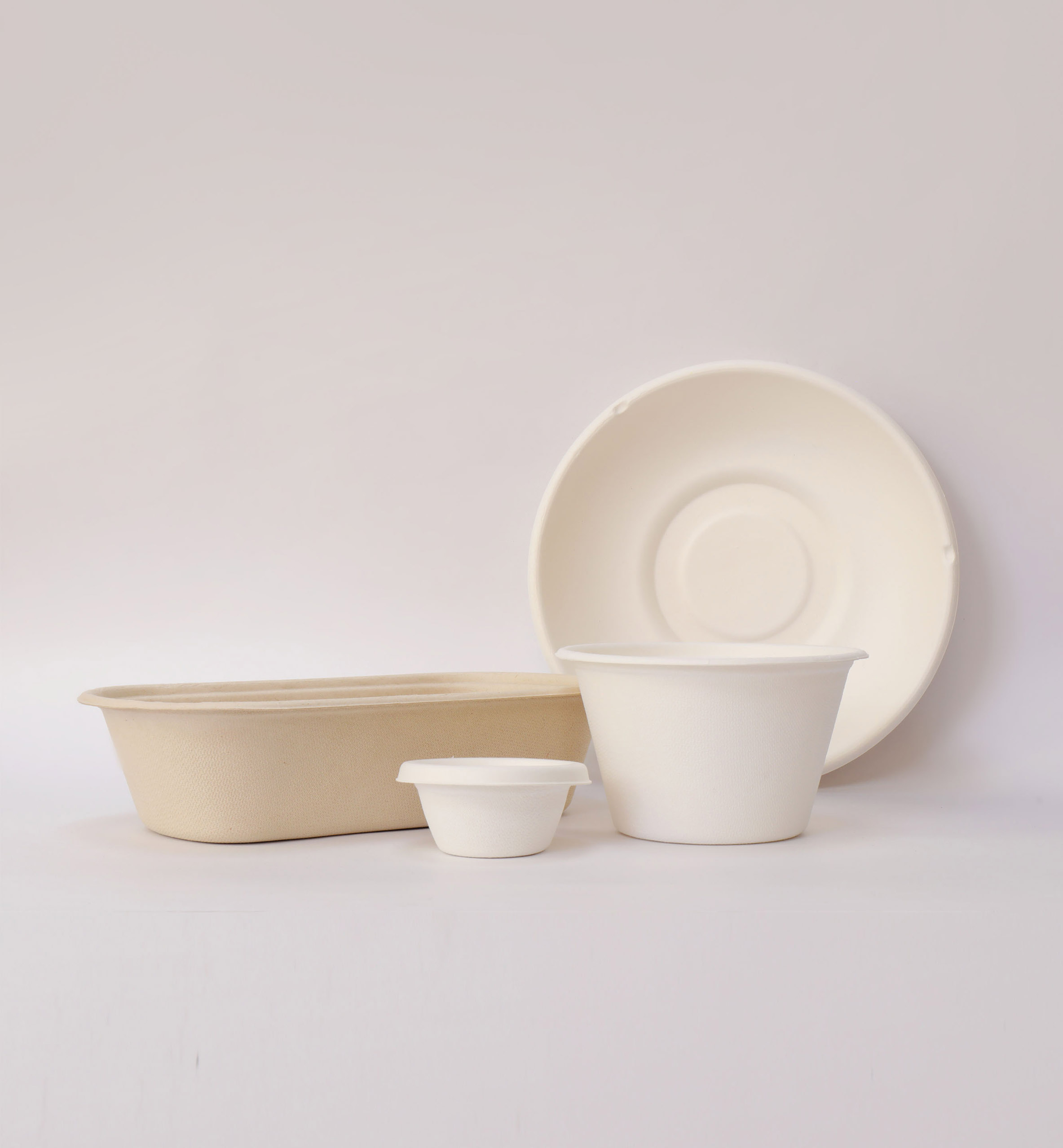 Bagasse Product